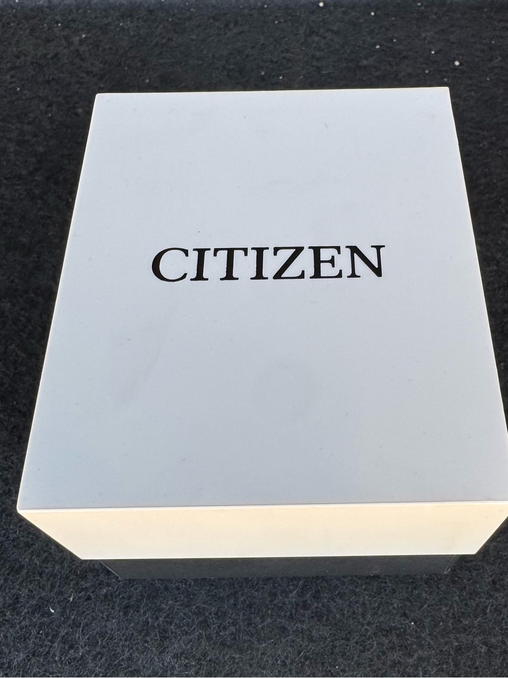 Citizen Nighthawk - Picture 2 of 3
